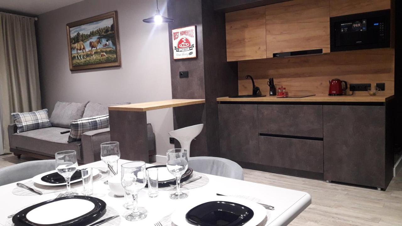 Apartment Viktor Truskavets